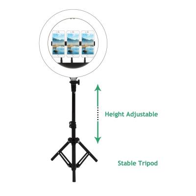China 14inch selfie ring led light with tripod stand floor base foldable adjustable with smart phone holder for sale