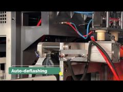 HDPE 5L 제리 캔 자동 블로 폼 머신 180PCS / H 윤활유 병