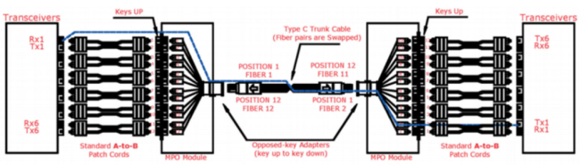 Polarity C MPO Connection Diagram