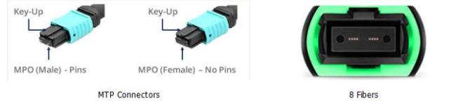 MTP Connector and Fiber Channel Overview