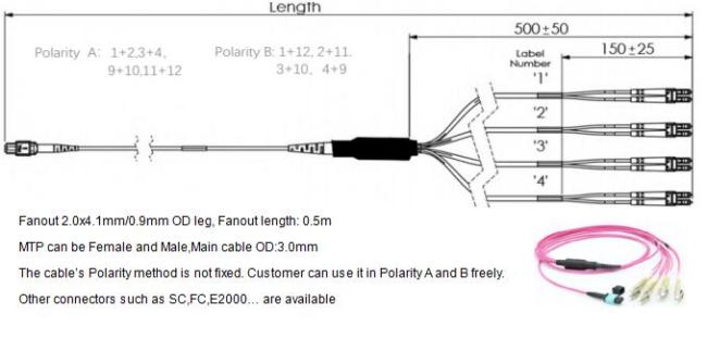 MTP to 4 LC Duplex Connection Diagram
