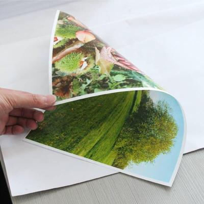 China A3 Waterproof Glossy RC Photo Paper Inkjet Printing Film OEM for sale