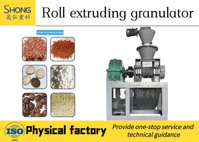 China Dry Powder Double Roller NPK Fertilizer Production Line SGS for sale