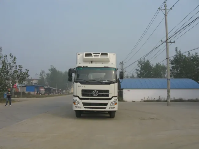 Dongfeng 20 Tons Seafood Refrigerator Van Live Fish Transport Cart Truck