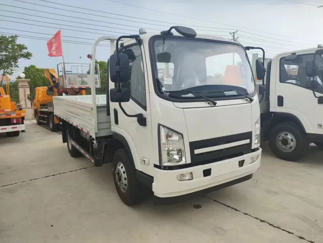 3t Light Flat Bed Cargo Truck Diesel Box Truck Cargo Truck for Sale Africa