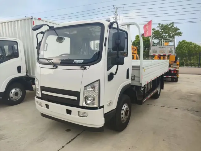 3t Light Flat Bed Cargo Truck Diesel Box Truck Cargo Truck for Sale Africa