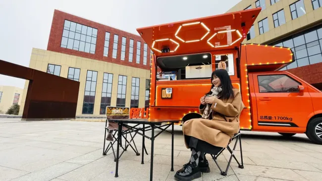 Electric Pet Storage Truck Electric Van Truck