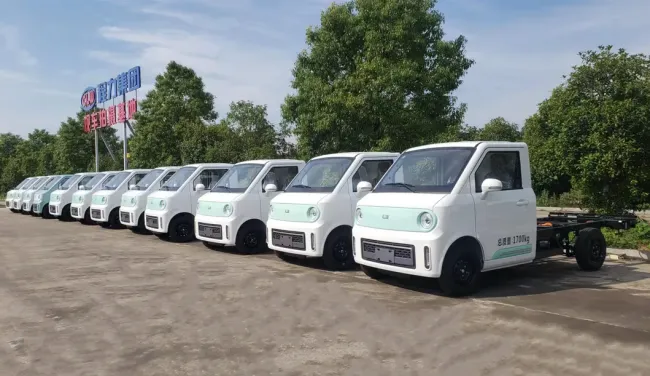 Electric Pet Storage Truck Electric Van Truck