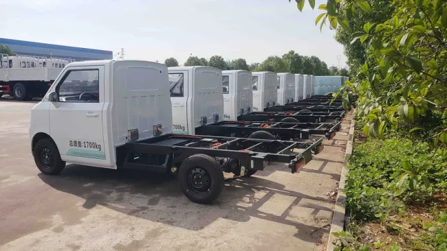 Electric Pet Storage Truck Electric Van Truck