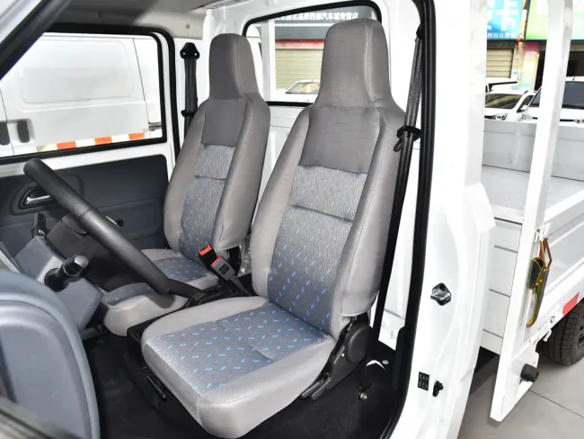 Electric Pet Storage Truck Electric Van Truck