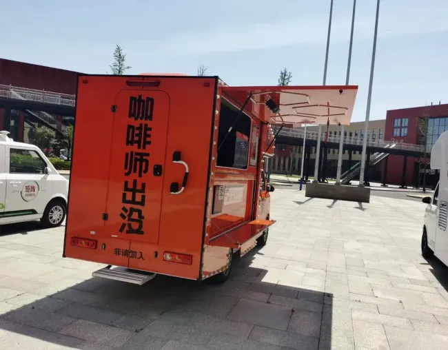 Electric Pet Storage Truck Electric Van Truck