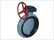 China Worm gear type butterfly valve for sale