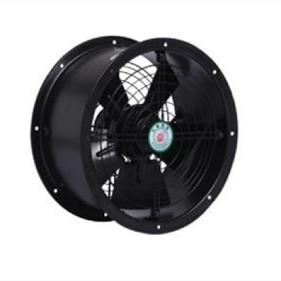 China 12'' Portable Electric Exhaust Fan 300mm Axial Industrial Suction Fan for sale
