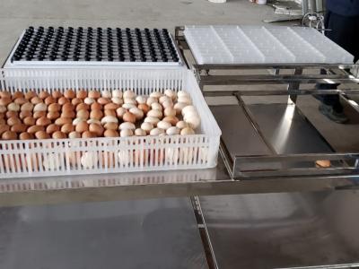 中国 テーブル装置機械の良否を明りにすかして調べる移動の商業自動卵 販売のため