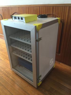 China máquina automática do choque da incubadora do ovo do pássaro de bebê 200W para os ovos 100 da galinha à venda