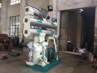 China 200kw 22th Industrial Wood Pellet Mill Machine Manufacturing Equipment for sale