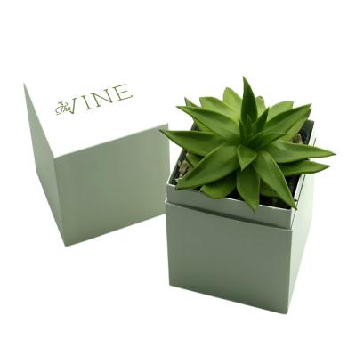 China Custom Printed Succulent Planter Gift Box Succulent Packaging Box for sale