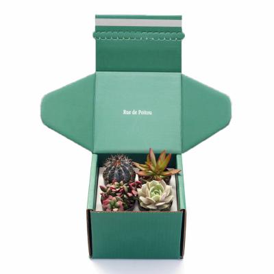 China Custom Logo Printed Paper Cactus Succulents Live Plants Packaging Shipping Box with Insert for sale