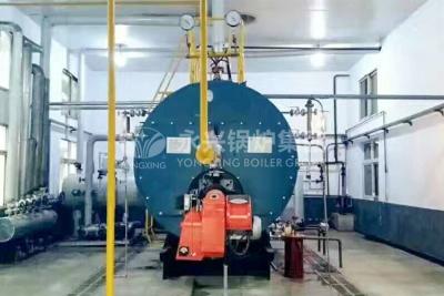 China Horizontal Gas Fired Hot Water Boiler Condensing Boiler Hot Water Tank for sale