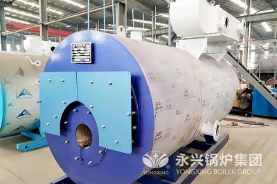 China 30 Liter Gas Fired Hot Water Boiler Residental Low Pressure Steam Boiler for sale