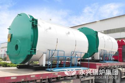 China Safety Gas Fired Hot Water Boiler Gas Hot Water Furnace For Breeding Greenhouses for sale