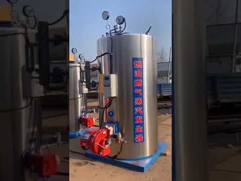 vertical steam boiler 500kgs per hour for food industry
