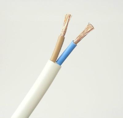 China El cable flexible de 300/300V H03VV-F 2c0,5 mm2 Rvv en venta