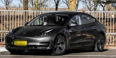 China Tesla Model 3 caballos de fuerza eléctricos del mejor coche de tamaño mediano de la tracción trasera 264 en venta