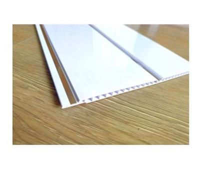 China Panel de techo de plástico blanco a prueba de moldes en venta
