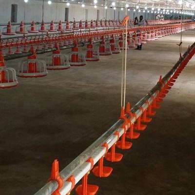 Chine Système d'abreuvement automatique de poulet de système d'eau de ferme de volaille de tuyau de D25mm à vendre