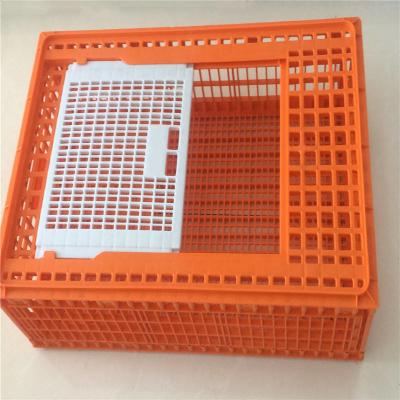 China Pure PE Poultry Carrier Crate Chicken Transport Cage Customized for sale