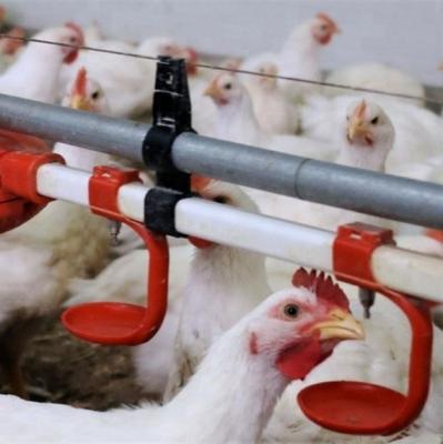 China 38.8mm Water Nipple Drinker Chicken Feeder Poultry House Water Systems for sale