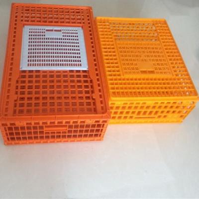 China Jaula plástica roja anaranjada de las aves de corral para los productos de cría de pollos en venta