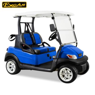 China AC OR DC Powered Electric Golf Carts For 2 Person , 48V Trojan Battery for sale