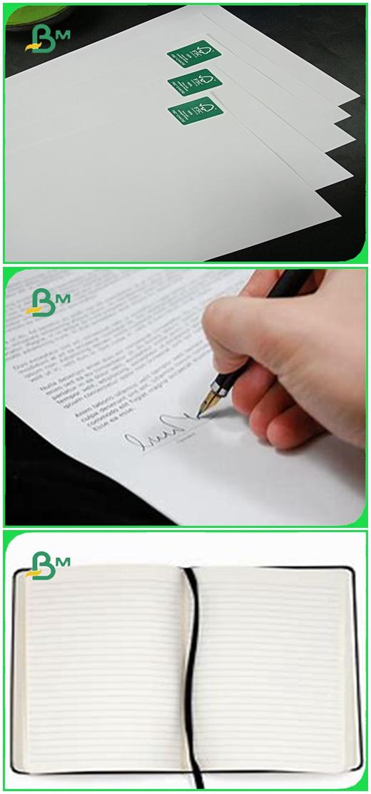 www.bmpaper.com