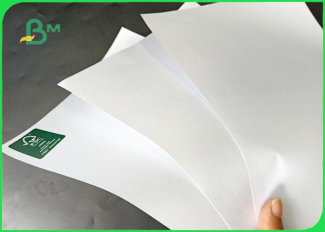 Offset Paper www.bmpaper.com