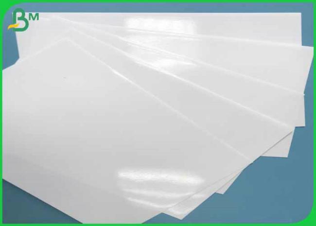 photo paper photo paper