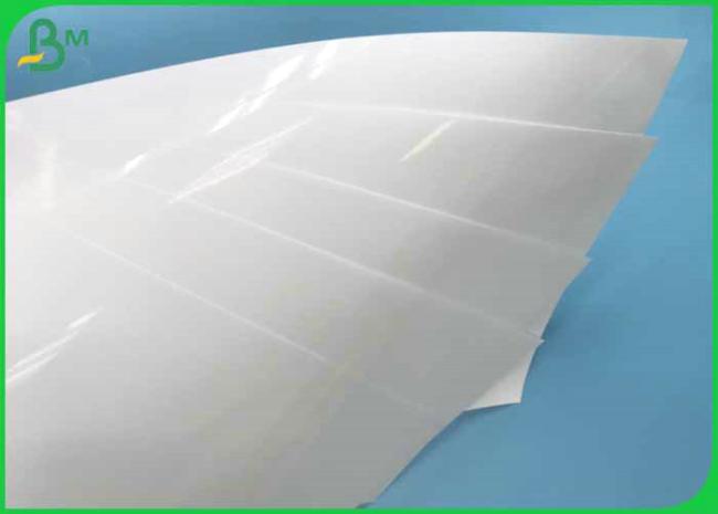 photo paper photo paper