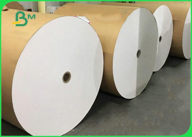 Lunch Box Paper Disposable 300gsm + 10g PE Lunch Box Paper For Food Packing 100% Biodegradable
