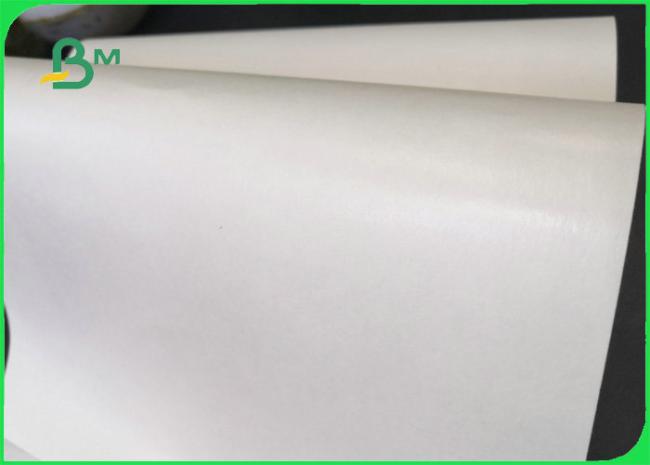 Lunch Box Paper Disposable 300gsm + 10g PE Lunch Box Paper For Food Packing 100% Biodegradable