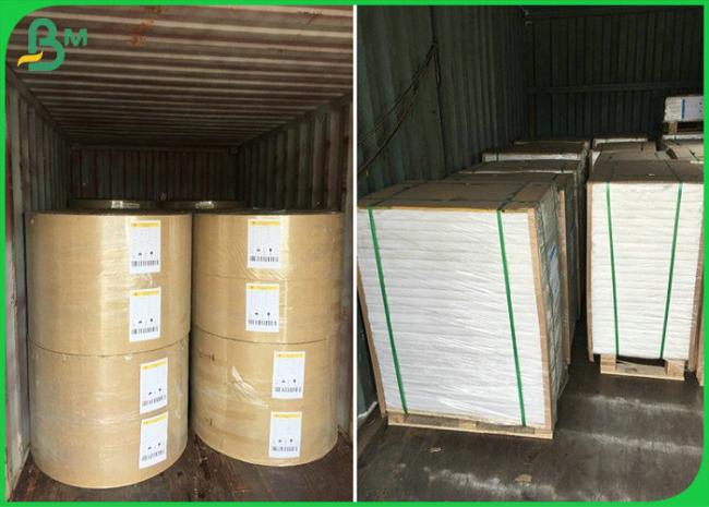 pe coated paper FDA Food Grade Oil Resistance 150gsm-300gsm PE Coated Paper For Food Packages