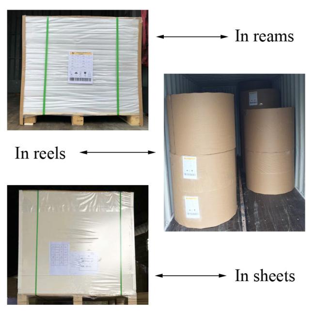 Exercise Book Paper 60 / 80GSM Uncoated Exercise Book Paper / Offset Paper In Reels Width 900MM
