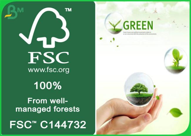 Glossy MF MG Kraft Paper FDA Approved Food Grade Glossy MF MG Kraft Paper in Reels 30gsm to 40gram