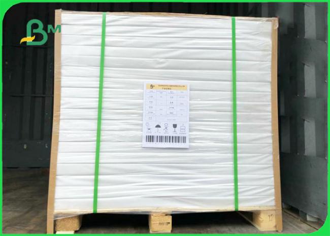 Exercise Book Paper 55gsm 60gsm 70gsm Uncoated Exercise Book Paper Reels Size 900mm FSC Certified