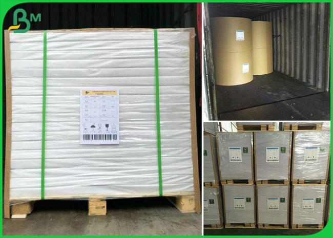 exercise book paper 55gsm 60gsm Reels Size 900mm FSC Certified Exercise Book Paper For Printing