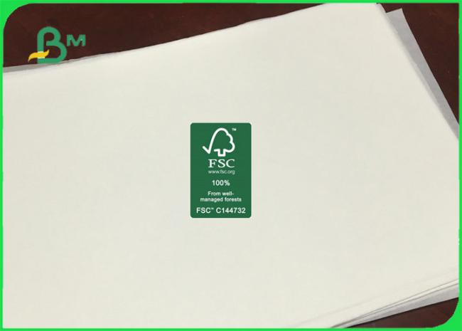 White Mg Kraft Paper FDA Certificated Food Grade White Mg Kraft Paper 30gsm to 40gsm in Reels