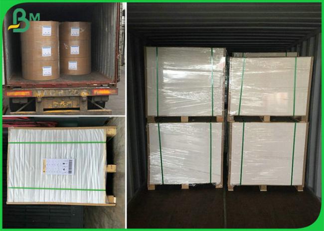 school book paper 1000mm 60gsm 70gsm 80gsm FSC Certified White School Book Paper In Reels