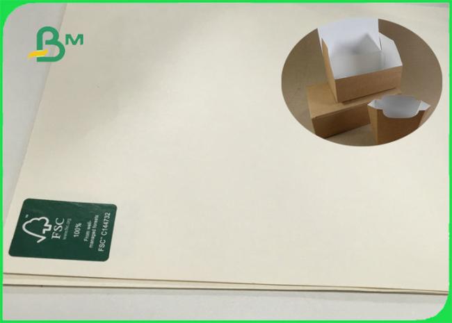PE Coated Ivory Board Paper White Food Grade PE Coated Ivory Board Paper ISO FDA SGS Customized