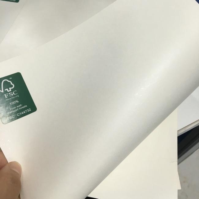 PE Coated Ivory Board Paper White Food Grade PE Coated Ivory Board Paper ISO FDA SGS Customized