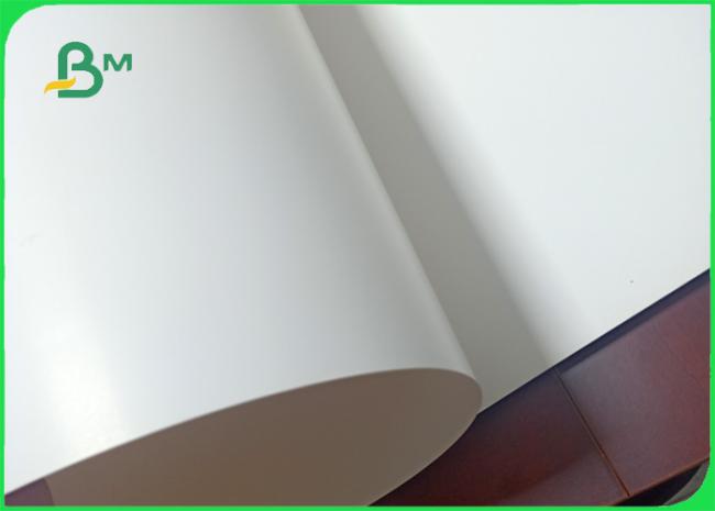 Width 700*1000mm good smoothness 270gsm 300gsm 350gsm FSC Ivory board for packages 02 Width 700*1000mm good smoothness 270gsm 300gsm 350gsm FSC Ivory board for packages